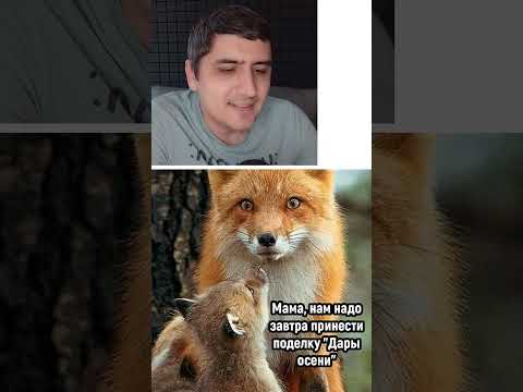 Мем про поделку thumbnail
