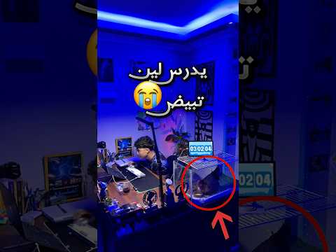 تحدى نفسه انه يدرس لين الدجاجة تبيض لكن الصدمة !! #youtubeshorts thumbnail