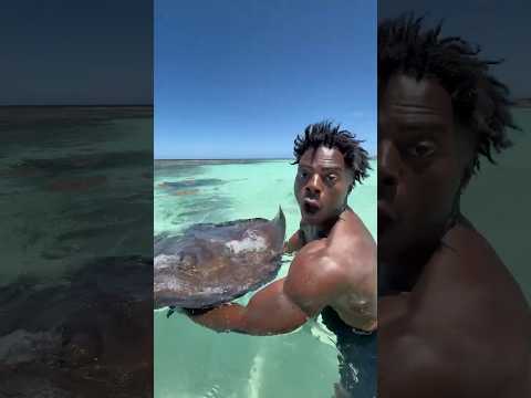SWIMMING WITH STINGRAYS IN ANTIGUA! 🇦🇬 thumbnail