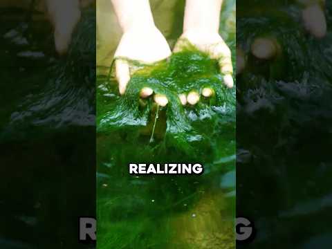 You've Eaten This River Slime Before 🤯 thumbnail