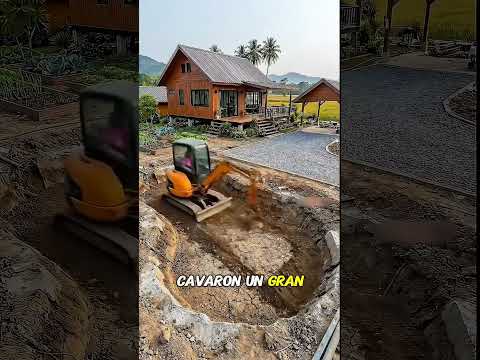 El dueño no quería pagarles y ellos transformaron la piscina thumbnail