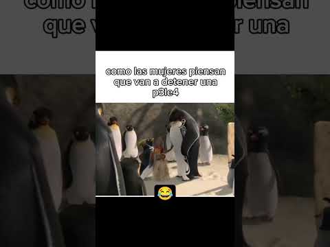 Viva la paz thumbnail
