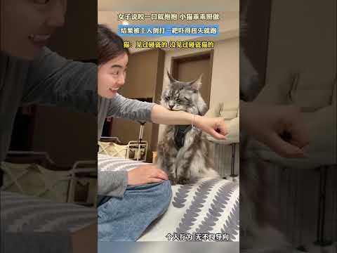 女子说咬一口就抱抱_小猫乖乖照做结果被主人倒打一耙 thumbnail