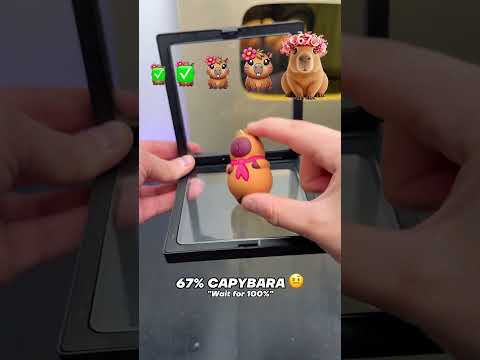 Will they all fit?? thumbnail