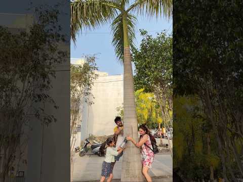 नारियल पानी पी के आया मजा?? #youtubeshorts #shorts #viralshorts @K@Kajalsoni_vlogskajalsoni thumbnail