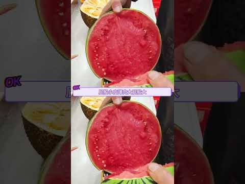 我将在瓜摊前大杀四方#西瓜 #夏天 #冷知识 #报恩西瓜 #万万没想到 thumbnail