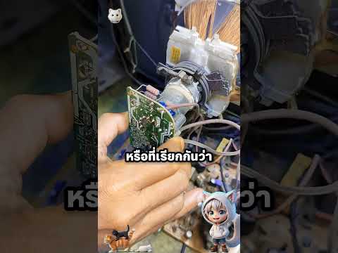 DVD เด้งในตำนุ้ย thumbnail
