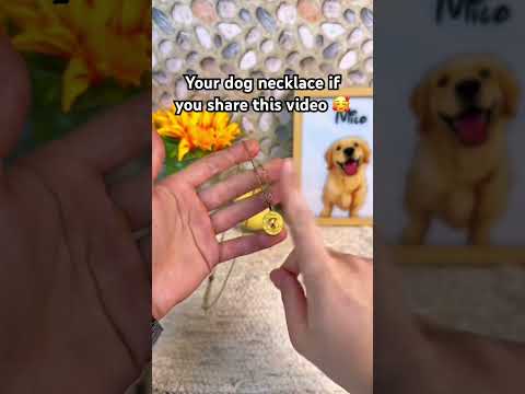 You won’t believe the 4th one ?❤️? #dogs #dogloss #dogsoftiktok #giftsideas #pets thumbnail