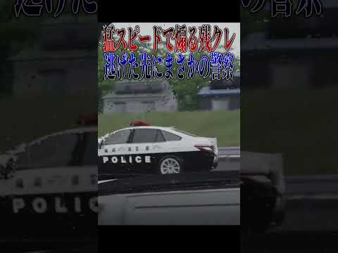【超スカッと】車間詰めて煽る残クレアルファード、逃げた先に警察が居て人生詰んでしまう#shorts thumbnail