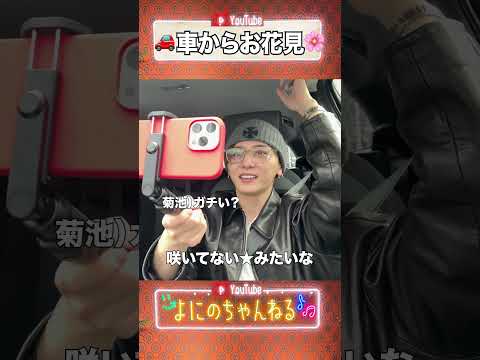 よにのちゃんねる【さくらがあーる!?】咲いてるよNE☆ thumbnail