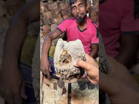 Ugly Bamboo Turned Into a Beautiful Handmade Bowl #shorts thumbnail