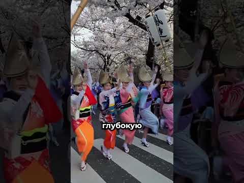 За это японцы могут вас возненавидеть 🌸 thumbnail
