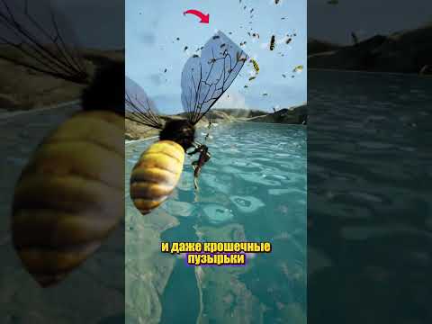 @zackdfilms КАК УБЕЖАТЬ thumbnail