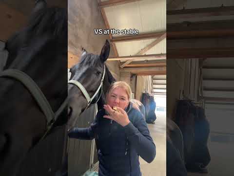 Equestrian at home vs at the table ￼ thumbnail