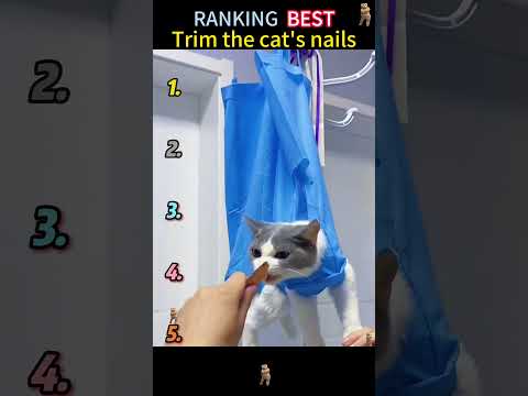 #pov #tools #foryoupage #fyp #fypシ゚viral #fypツ 3 thumbnail