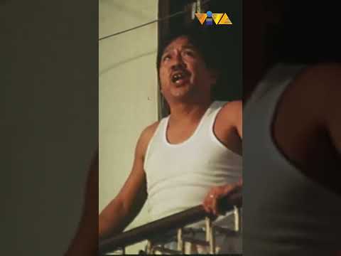 Kaya bang labanan ni Leo Martinez ang tukso? #shorts #movieclips #vivafilms thumbnail