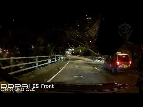 車CAM直擊 - 大埔八米奪命樹枝 意外前亦有的士撞上 thumbnail
