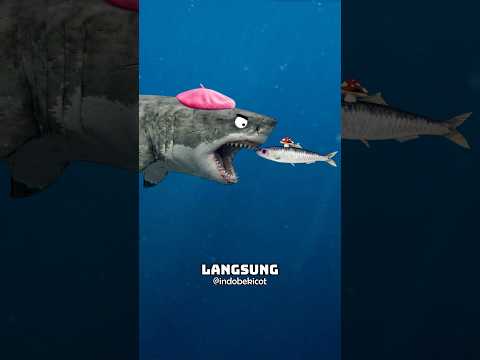 Kalo Lo Jadi Ikan Hiu, Ini yang Harus Lo Lakuin thumbnail