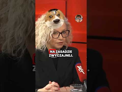 HIT! KOTULA ZAORANA PROSTYM PYTANIEM! 😂 thumbnail