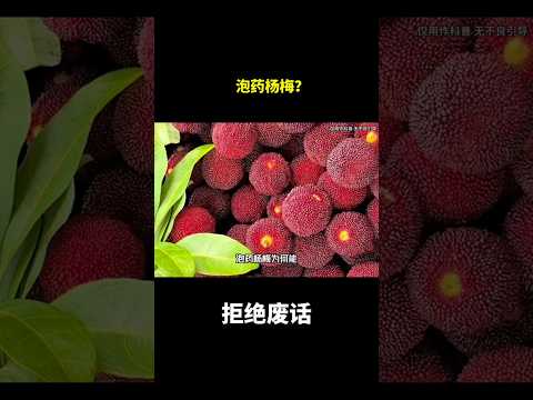 泡药杨梅？#冷知识 #涨知识 thumbnail