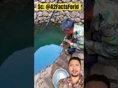 Papa jangan turun ke sumur itu!!(! #funny #shorts #trendingshorts #shortsviral thumbnail