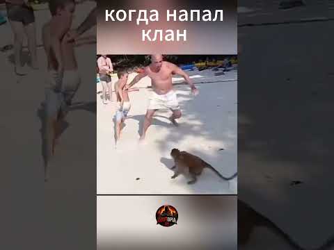 кланы они такие 🤣  #rust #раст #прикол #юмор thumbnail