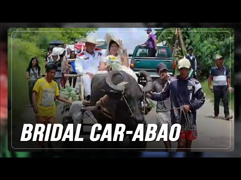 Kalabaw na nagpaaral sa kanila, naging 'Bridal Car' ng mag-asawang anak ng magsasaka sa Ifugao thumbnail