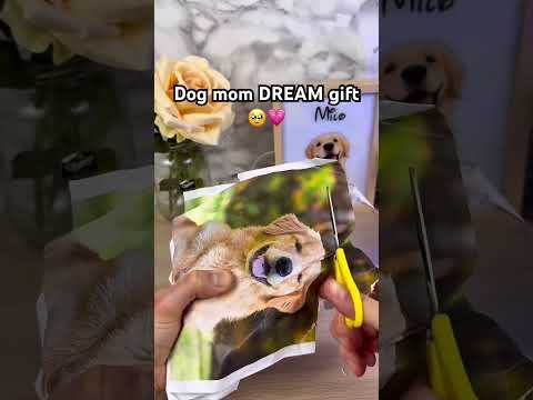 Wait until you see it ?? #pets #dogloss #dogs #dogsoftiktok #giftsideas thumbnail