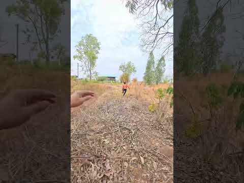 ไปให้สุด ถ้าไม่หยุดเดี๋ยวกูหยุดเอง !! #funny thumbnail