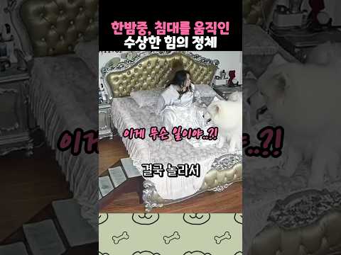 움직이는 침대에 숨어 있는 것은..?! thumbnail