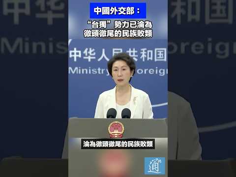 中國外交部：“台獨”勢力已淪為徹頭徹尾的民族敗類 #中國 #外交 #台獨 thumbnail