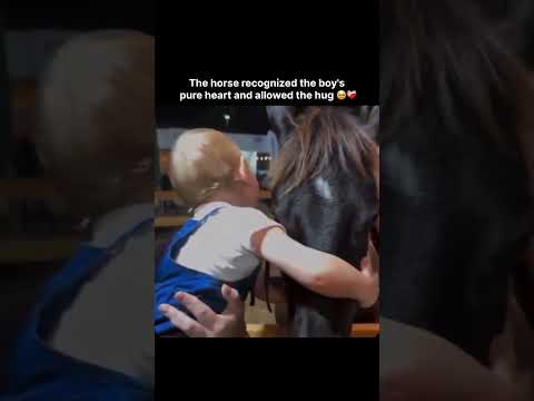 The horse recognized the boy's pure heart and allowed the hug ? thumbnail
