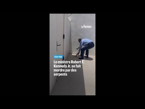 Le ministre Robert F. Kennedy Jr. se fait mordre par deux serpents thumbnail