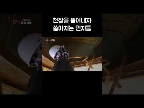 천장을 뜯어내자 쏟아지는 먼지들 #shorts thumbnail