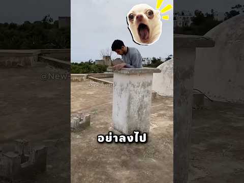 พี่อย่าลงไปในรูนั้น thumbnail