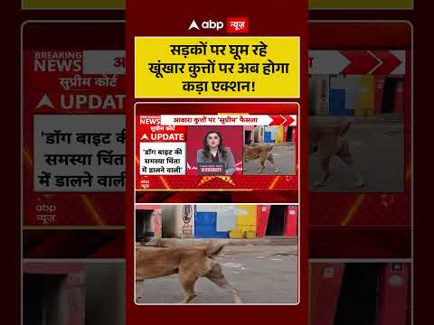 Supreme Court On Stray Dogs: सड़कों पर घूम रहे खूंखार कुत्तों पर अब होगा कड़ा एक्शन! | #shortvideo thumbnail