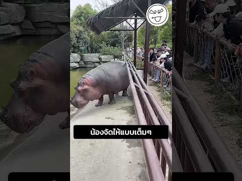 น้องจัดให้แบบเต็มๆ thumbnail