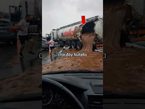 Anh chàng suýt gặp nguy hiểm khi đang ghi lại cảnh lạ trên đường 😳 thumbnail
