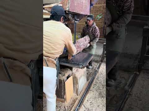Tree to Timber ?➡️? | Complete Saw Mill Cutting Process#Sawmill #WoodCutting #FactoryProcess #Timber thumbnail