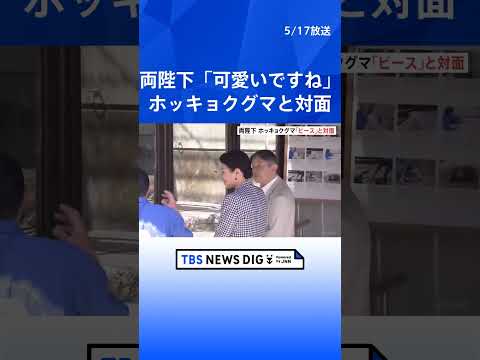 「耳が小さい？」「可愛いですね」天皇皇后両陛下　ホッキョクグマ“ピース”と笑顔で対面　愛媛県で動物園へ｜TBS NEWS DIG #shorts thumbnail