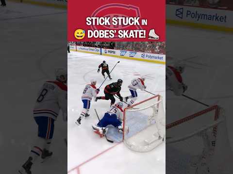 Dobes in a STICK-y situation 🏒 thumbnail