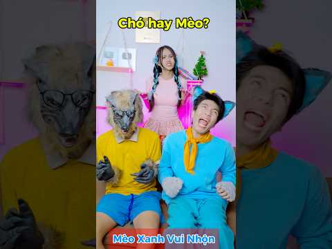 Chó Vs Mèo? Bạn chọn thú cưng nào? #meoxanh #ohnoteam #cosplay #parody thumbnail
