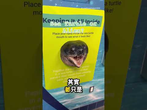 她第一次看到海龜嘴裡…結果完全超出她的想像 😳 thumbnail