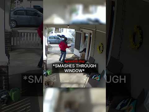 When Delivery Almost Turns Into Disaster... thumbnail