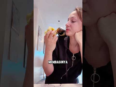 Burung ini menjadi sahabat terbaiknya thumbnail