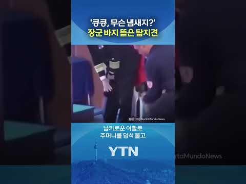 해군 장성 바지를 '콱' #shorts / YTN thumbnail