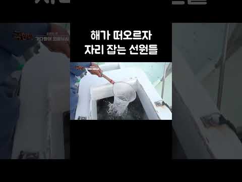해가 떠오르자 자리 잡는 선원들 #shorts thumbnail