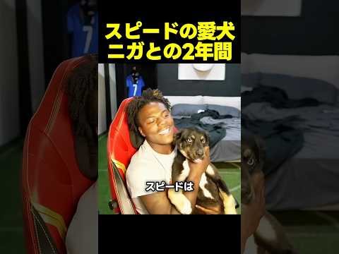 スピードの愛犬ニガが2歳に！2年前の出会いから現在まで thumbnail