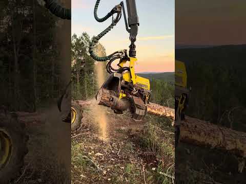 Insane Power! Harvester 1270G in Full Action 💥🌲 #harvester #forest #johndeere #tree #lumberjack thumbnail