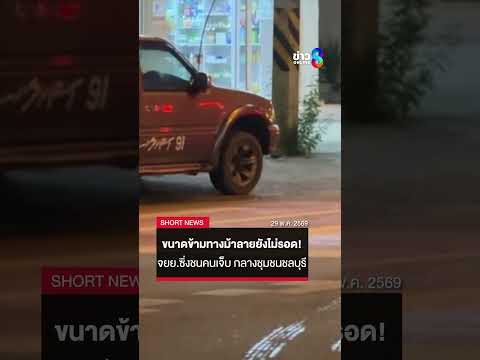 ขนาดข้ามทางม้าลายยังไม่รอด! จยย.ซิ่งชนคนเจ็บ กลางชุมชนชลบุรี | SHORTS CLIP | ข่าวช่อง8 thumbnail